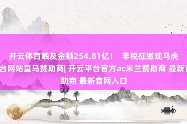 开云体育触及金额254.81亿！  非税征缴现马虎-开云平台网站皇马赞助商| 开云平台官方ac米兰赞助商 最新官网入口